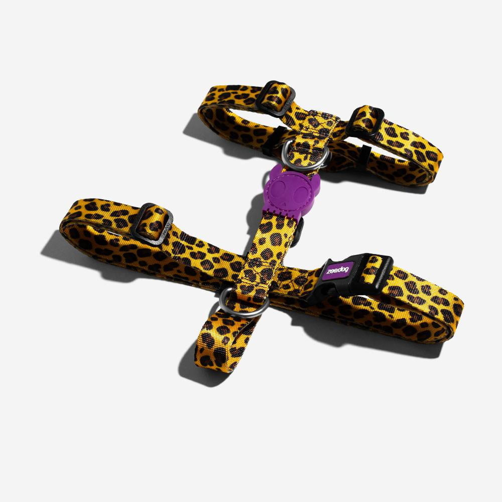 Honey | H-Harness