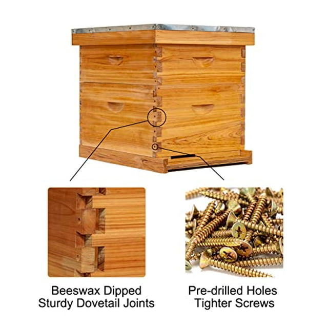 Honey Lake 8Frame Bee Hive 1 Brood Beehive Box and 1 Medium Bee Hive