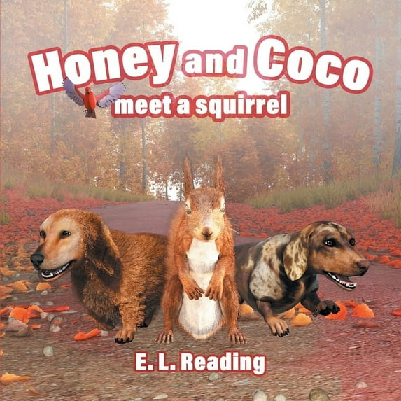 Honey and Coco: Honey and Coco meet a squirrel (Series #2) (Paperback)