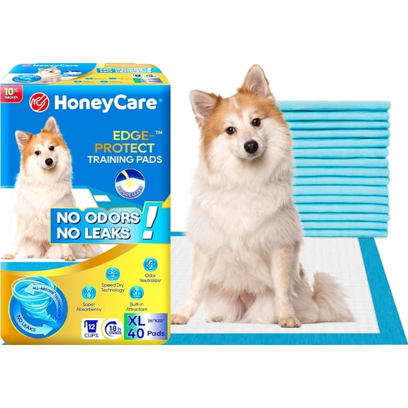 HoneyCare Edge Protect All Absorb XL Training Pads, 26x30, 40ct