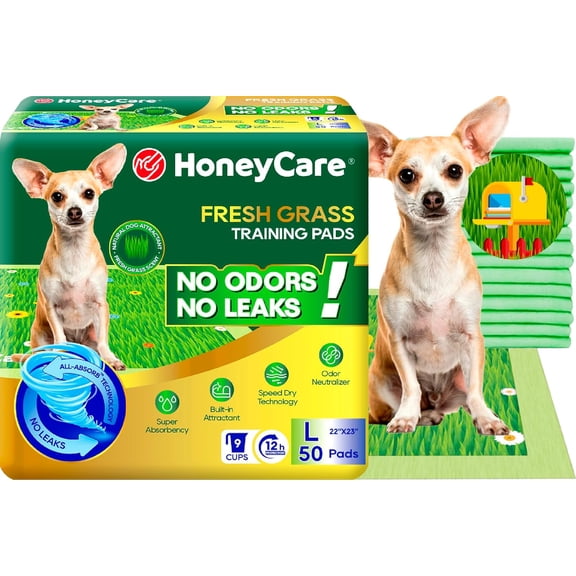 HoneyCare Fresh Grass Print /Scent All Absorb Large Training Pads, 22x23, 50ct