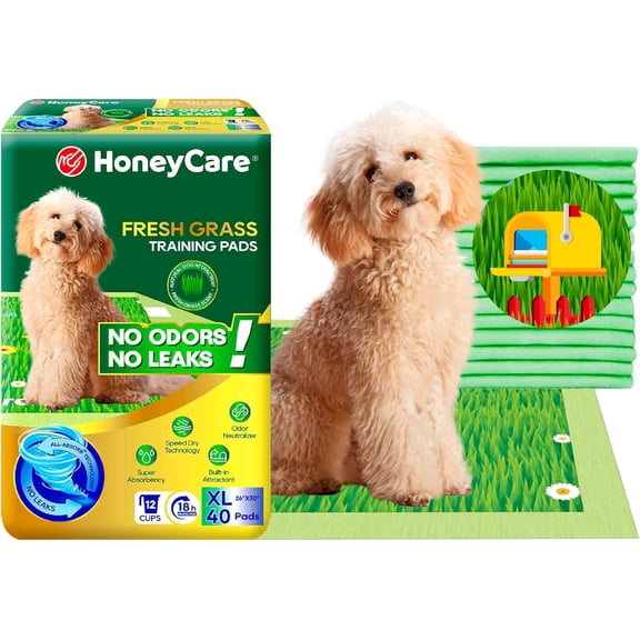 HoneyCare Fresh Grass Print and Scent All Absorb Training Pads, XL, 26x30, 40ct
