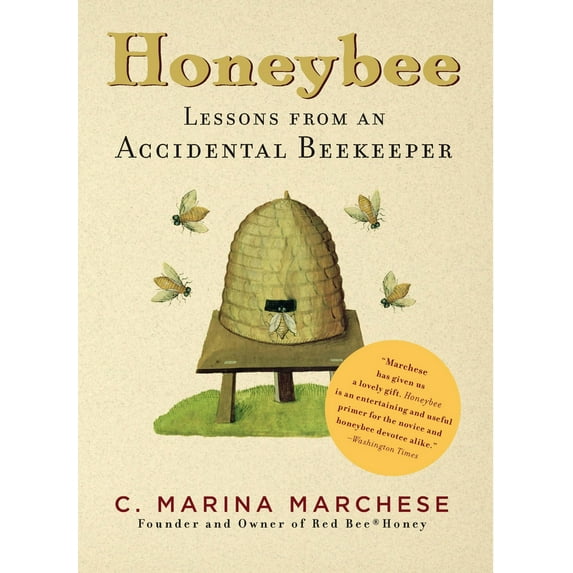Honeybee : Lessons from an Accidental Beekeeper (Paperback)