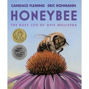 Honeybee The Busy Life of APIs Mellifera, Paperback