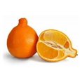 Honeybells (Tangelos) 3 Lbs ( Honeybells (Tangelos) 3 Lbs)