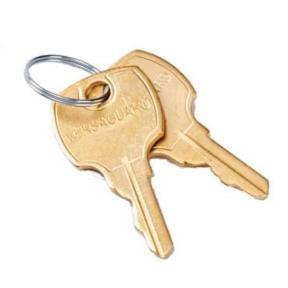 Honeywell 191990A - Set Of 2 Replacement Keys For Tg509