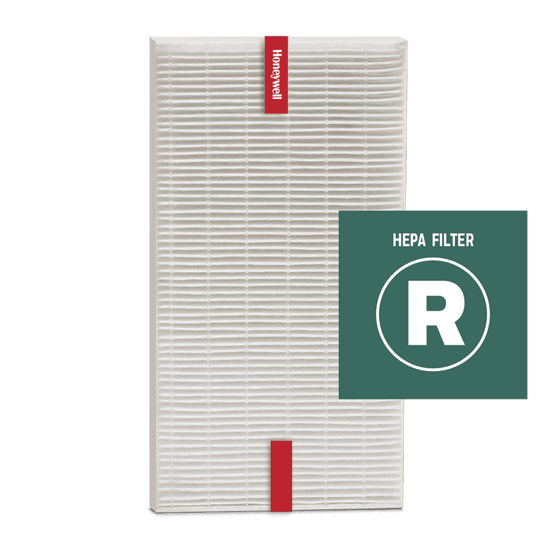 Type r hepa online filter