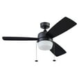 thumbnail image 1 of Honeywell Barcadero 44'' Black Modern LED Reversible Ceiling Fan with Pull Chains, 1 of 14