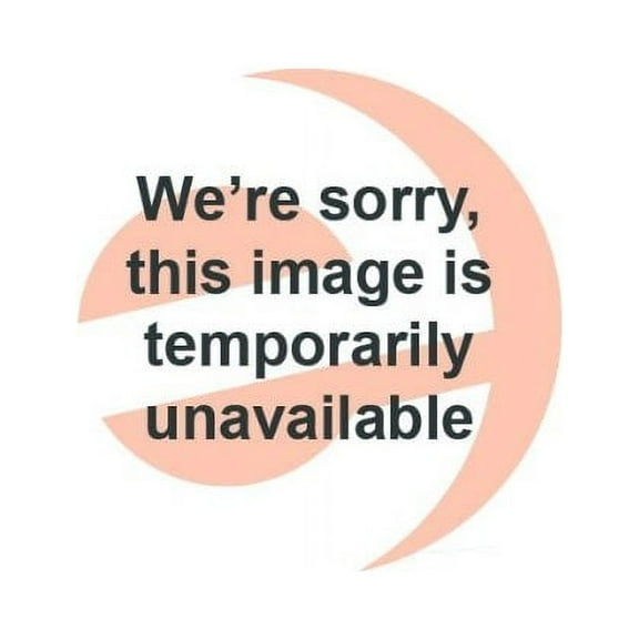 Honeywell FC37A1064 12.4" x 20" x 4.4 Electronic Air Cleaner Cell