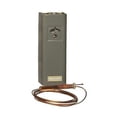 thumbnail image 1 of Immersion Controller, Breaks, Vertical or Horizontal, SPST, 12/120/240VDC, 1 of 2