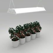 Honeywell  LED Plant Grow Light 30-Watt Full Spectrum with Linkable Feature