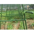 thumbnail image 1 of HongHeng 10PCS Stake Arms for Tomato Cage, Expandable Trellis Connectors with 6 Buckles for Tomato Cage Attach Plant Stake, 1 of 4