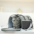 thumbnail image 1 of HongHeng Cat, Carrier for Small Mediums Puppies up to 15 Lbs, Soft Sided, Collapsible Travel Puppy Carrier, 1 of 6