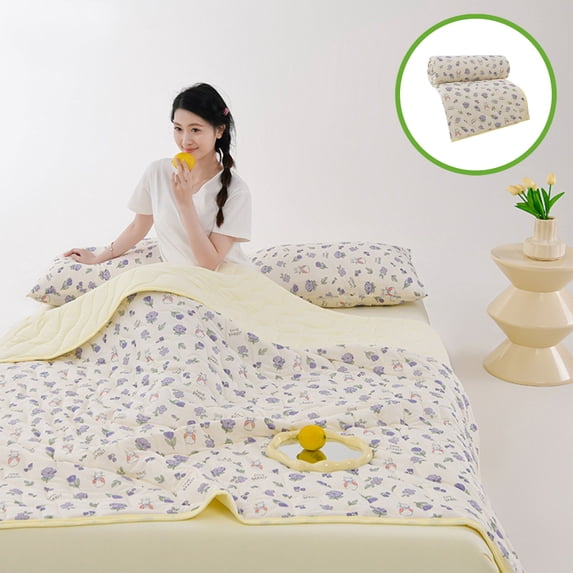 HongHeng Cool Feeling Air Conditioning Quilt Ice Silk Summer Quilt Machine Washable Quilt Core Summer Singles Double Thin Quilt Gift Summer Quilt