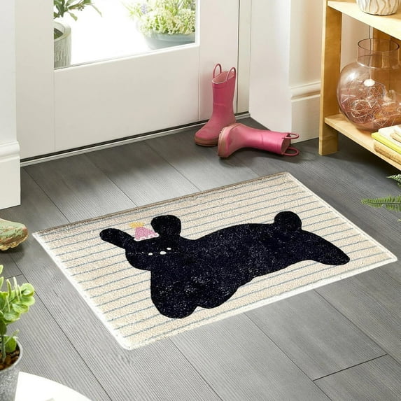 HongHeng Front Door Mat 23 X 15 Inch Doormat Indoor Outdoor Funny Floor Mat Non Slip Decor Polyester Welcome Mats
