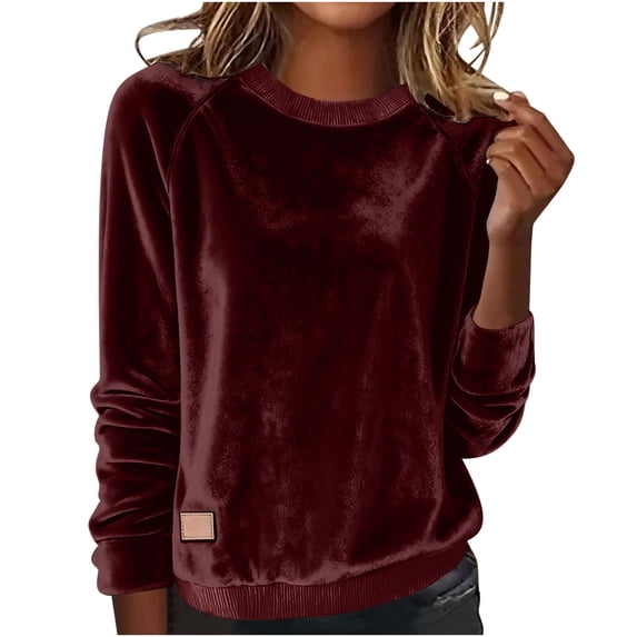 HongQid Women's Velour Sweatshirts Crewneck Long Sleeve Casual Pullover Soft Warm Shirts Velvet Tops Spring Winter Fall