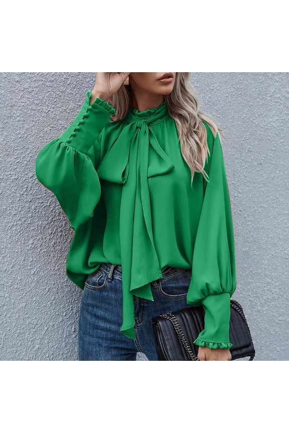 Womens Dressy Chiffon Blouse Business Work Casual Tie Neck Shirt Tops