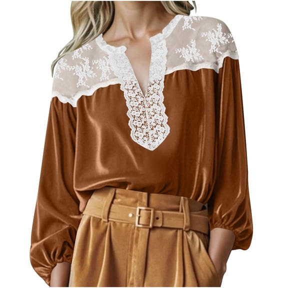HongQid Womens Velvet Tops V Neck Long Puff Sleeve Spring Fall Trendy Dressy Casual Loose Party Holiday Retro Court Style Shirts