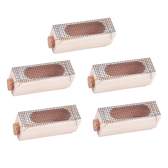 Hongchegh 5pcs Queen Bee Cage Beekeeping Equipment Wooden Bee Cage Beekeeping Tool