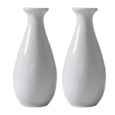 Hongchegh White Ceramic Vases, Modern Countertop Planter Pots for Home Decor