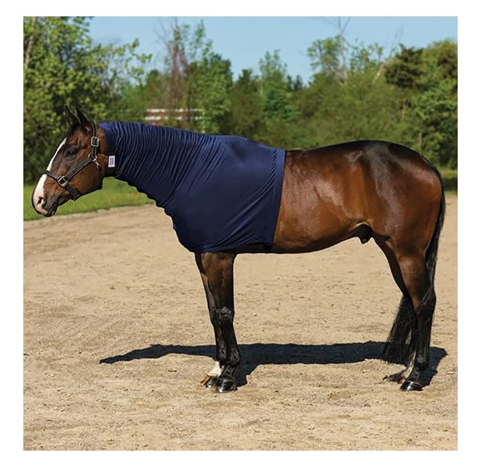 Hongwa Horse Sleazy Slickers Protection Horse Horse Sleazy Dirt & Dust Defense Sleezy for