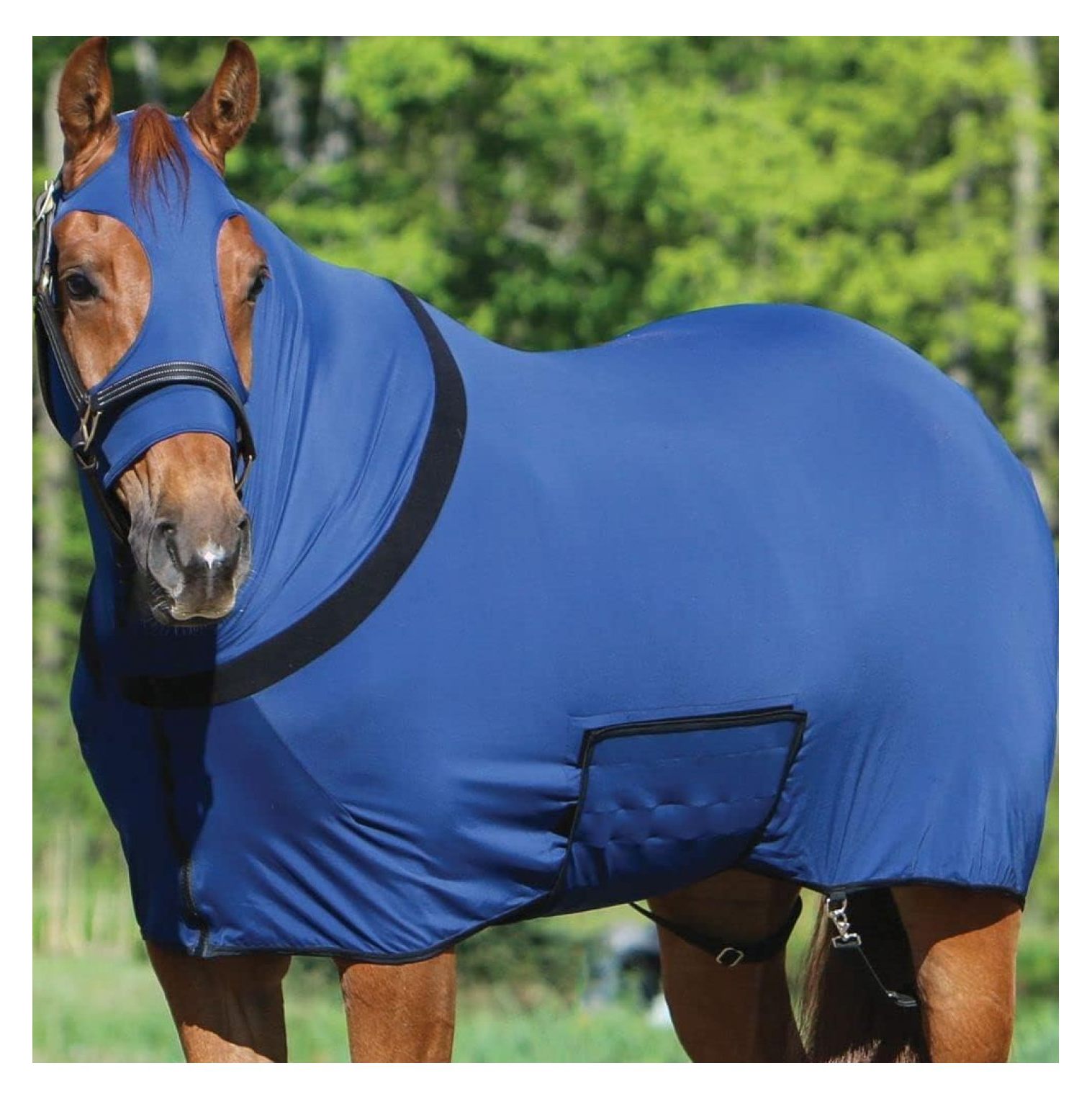 Hongwa Horse Sleazy Slickers Protection Horse Horse Sleazy Dirt & Dust Defense Sleezy for