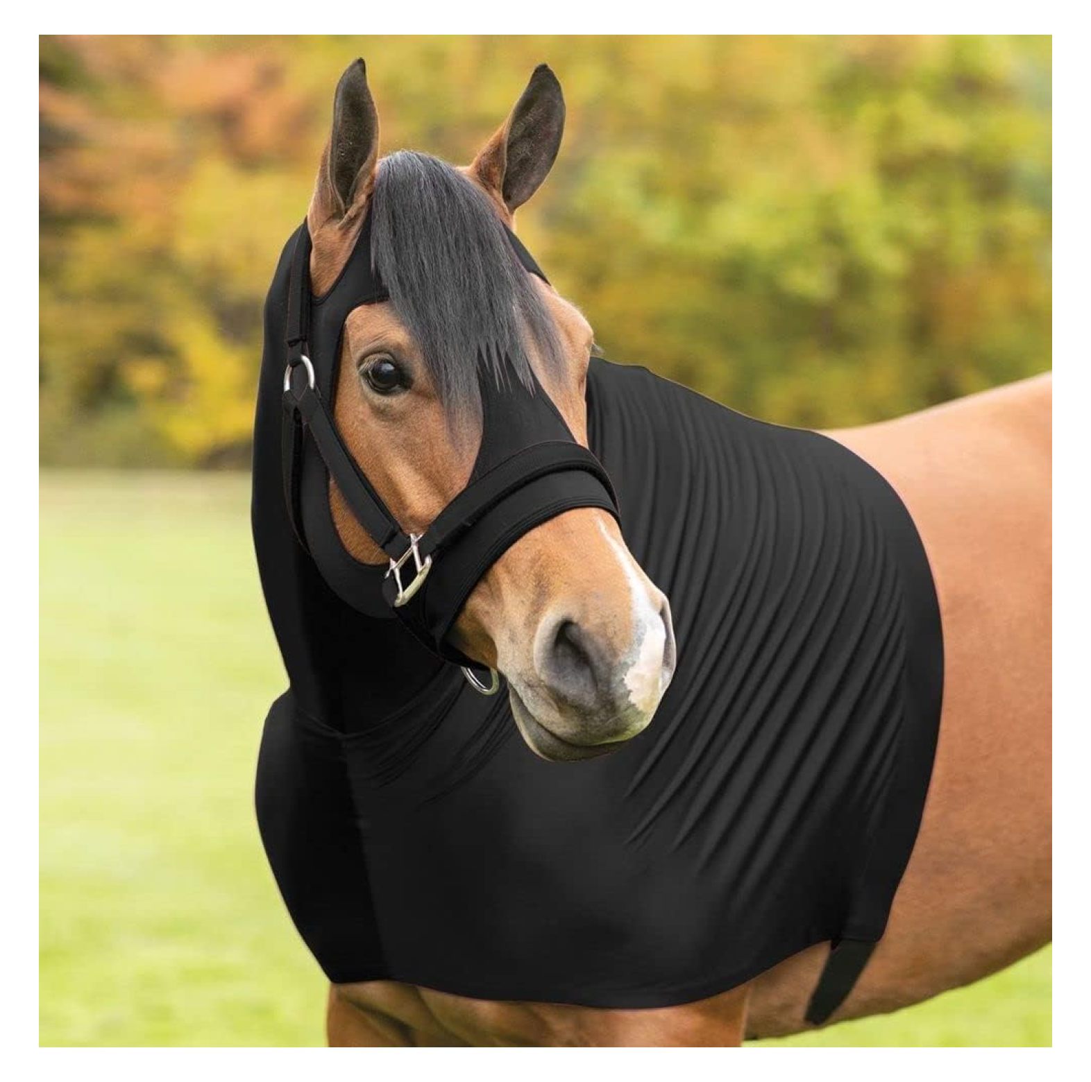 Hongwa Horse Sleazy Slickers Protection Horse Horse Sleazy Dirt & Dust Defense Sleezy for