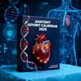 thumbnail image 1 of Honmine Anatomy Advent Calendar, 24 Days Human Body Ornament Set with Skeleton, Heart & Brain Figurines, Science Advent Calendar for Doctors, Students & Anatomy Lovers, Christmas Decor, 1 of 3