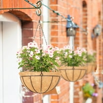 Honmine Hanging Baskets for Plants Outdoor Indoor, Metal Hanging Planters Flower Pots with Coco Liners Replacement, Decor Garden Flowers Vegetables Plants