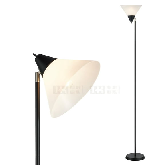 HonoDing Floor Lamp Standing Light,Pole Lamps for Living Room, Adjustable Head Arcylic Shade Floor Light Black