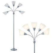 HonoDing Adjustable Gooseneck Floor Lamp with Matte White Acrylic Shade, 68 Inches