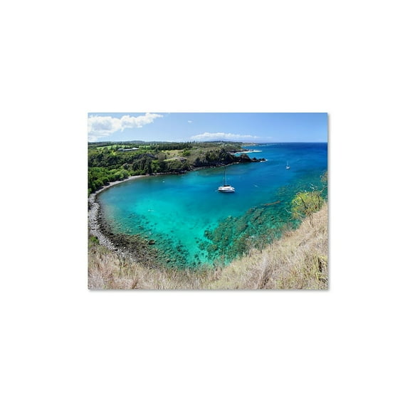 "Honolua Bay" Canvas Art by Pierre Leclerc