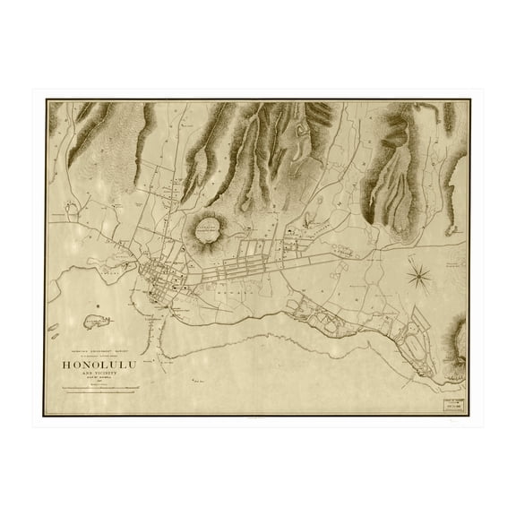Honolulu Art, 1887 Vintage Map of Honolulu Hawaii, HI History Wall Decor Gift, Old Honolulu Map - 24" x 18" Unframed Print