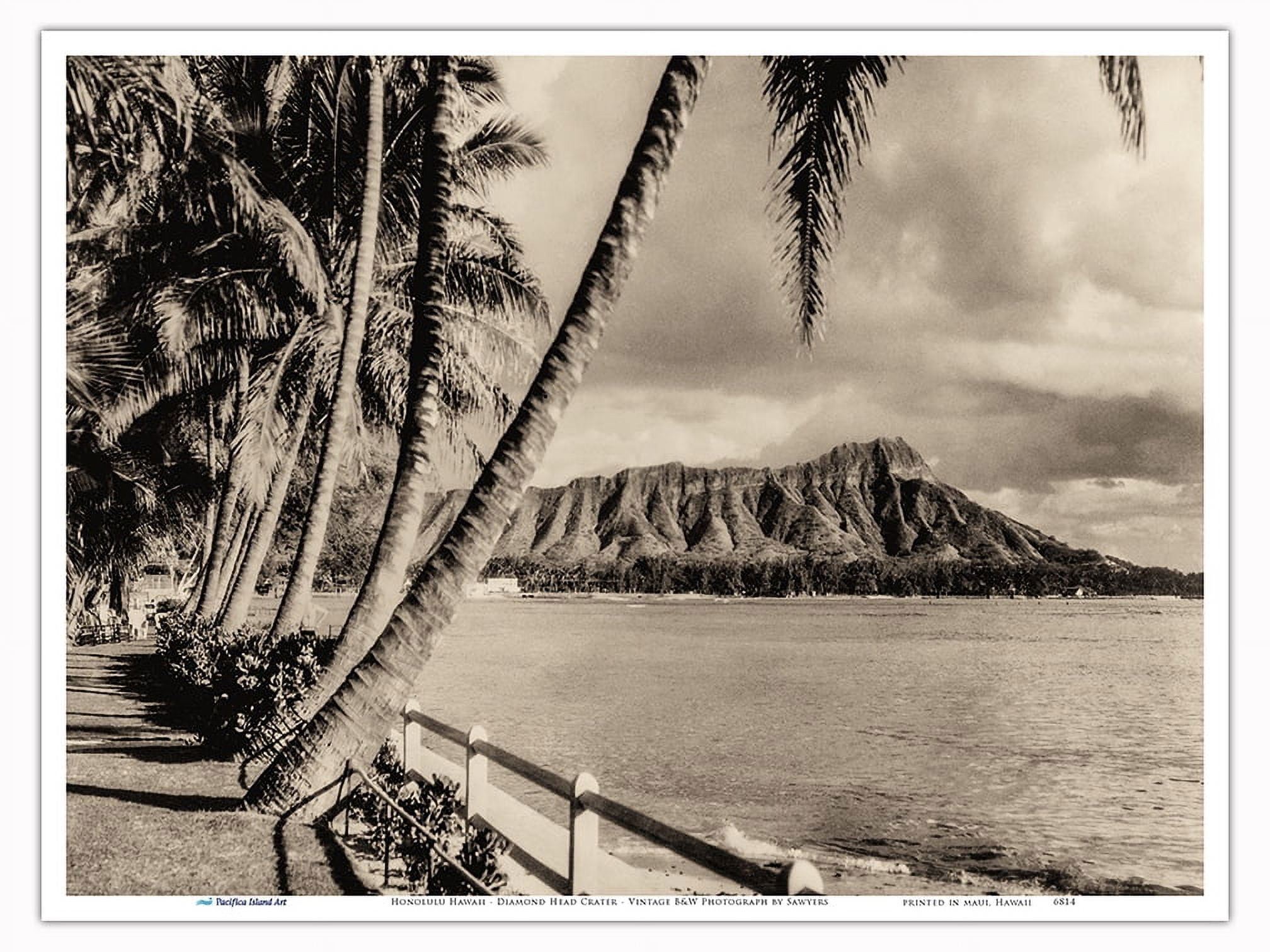 Honolulu Hawaii - Diamond Head Crater and Palms - Vintage