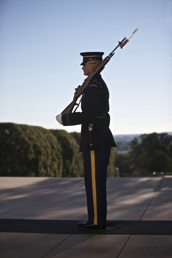Honor Guard at the Tomb of the Unknowns Arlington National Cemetery Canvas Art - Terry MooreStocktrek Images (12 x 18)