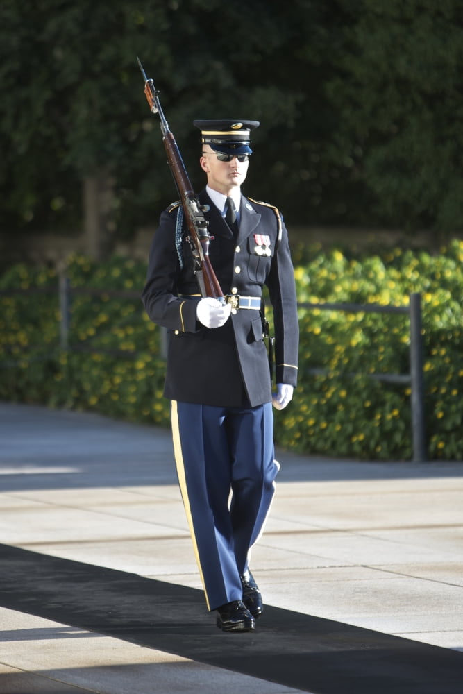 Honor Guard at the Tomb of the Unknowns Arlington National Cemetery Canvas Art - Terry MooreStocktrek Images (12 x 18)