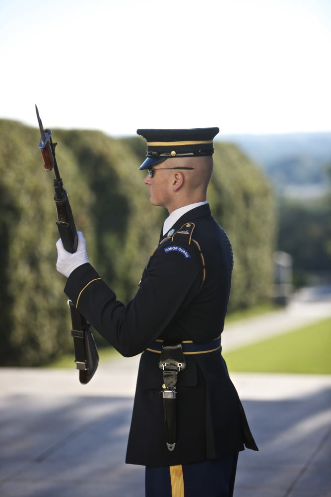 Honor Guard at the Tomb of the Unknowns Arlington National Cemetery Canvas Art - Terry MooreStocktrek Images (12 x 18)