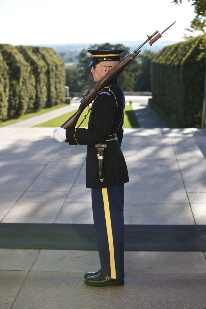 Honor Guard at the Tomb of the Unknowns Arlington National Cemetery Canvas Art - Terry MooreStocktrek Images (23 x 35)