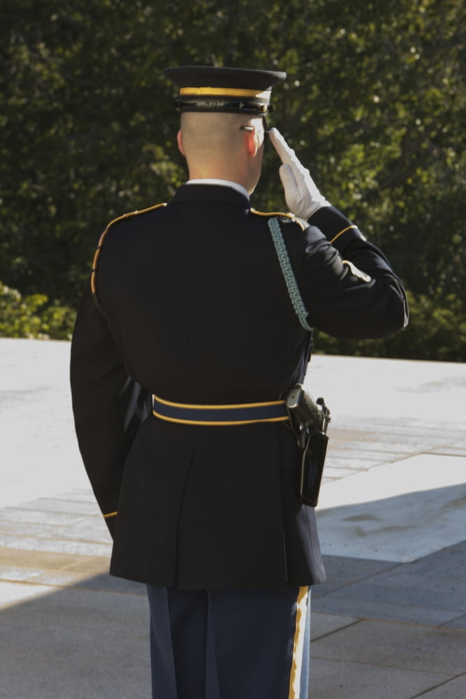 Honor Guard at the Tomb of the Unknowns Arlington National Cemetery Canvas Art - Terry MooreStocktrek Images (23 x 35)