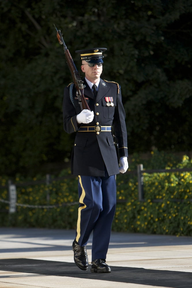 Honor Guard at the Tomb of the Unknowns Arlington National Cemetery Canvas Art - Terry MooreStocktrek Images (23 x 35)