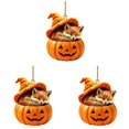 thumbnail image 1 of HonstMatter Halloween Ornament, Cute Sleeping Animal In Pumpkin With Witch Hat, Hanging Decor For Tree And Shelf Display, 1 of 7