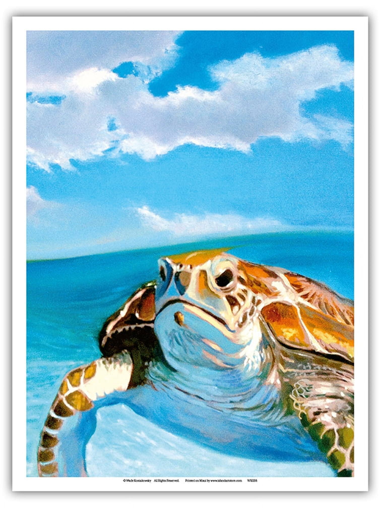 Honu - Hawaiian Sea Turtle - From an Original Color Painting by Wade ...