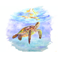 thumbnail image 1 of Honu, 1 of 1
