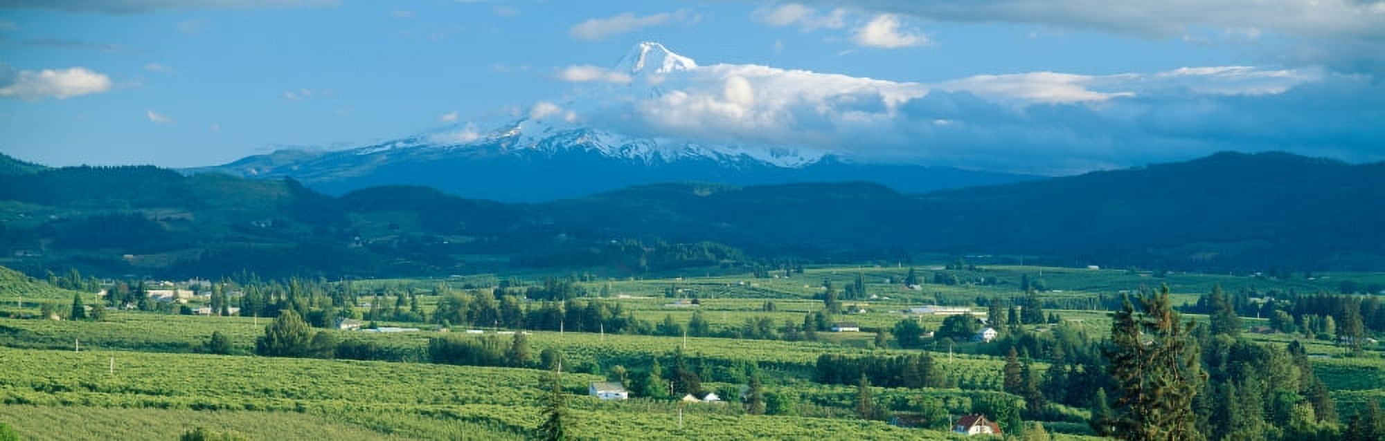 Hood River Valley and Mount Hood Oregon Canvas Art - Panoramic Images (27 x 9)