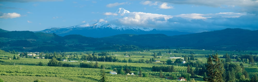 Hood River Valley and Mount Hood Oregon Canvas Art - Panoramic Images (36 x 12)