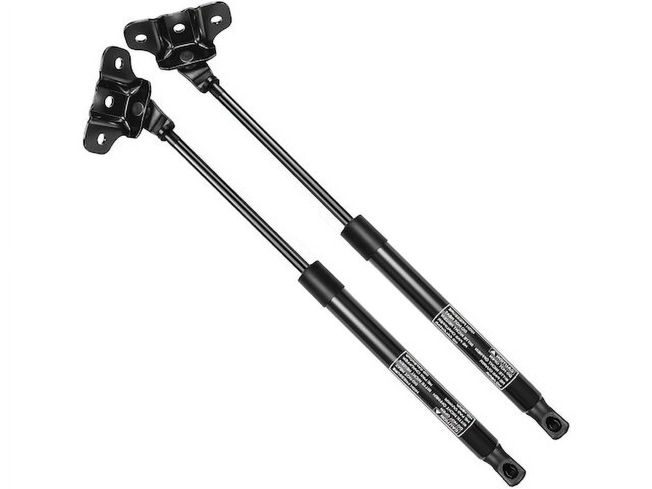 Hood Strut 2 - Compatible with 2008 - 2012 Honda Accord - Autopart Premium