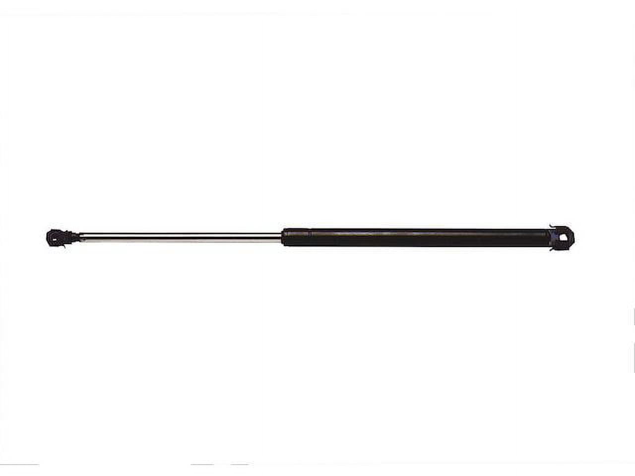 Hood Strut - Compatible with 1993 - 1996 Buick Park Avenue 1994 1995