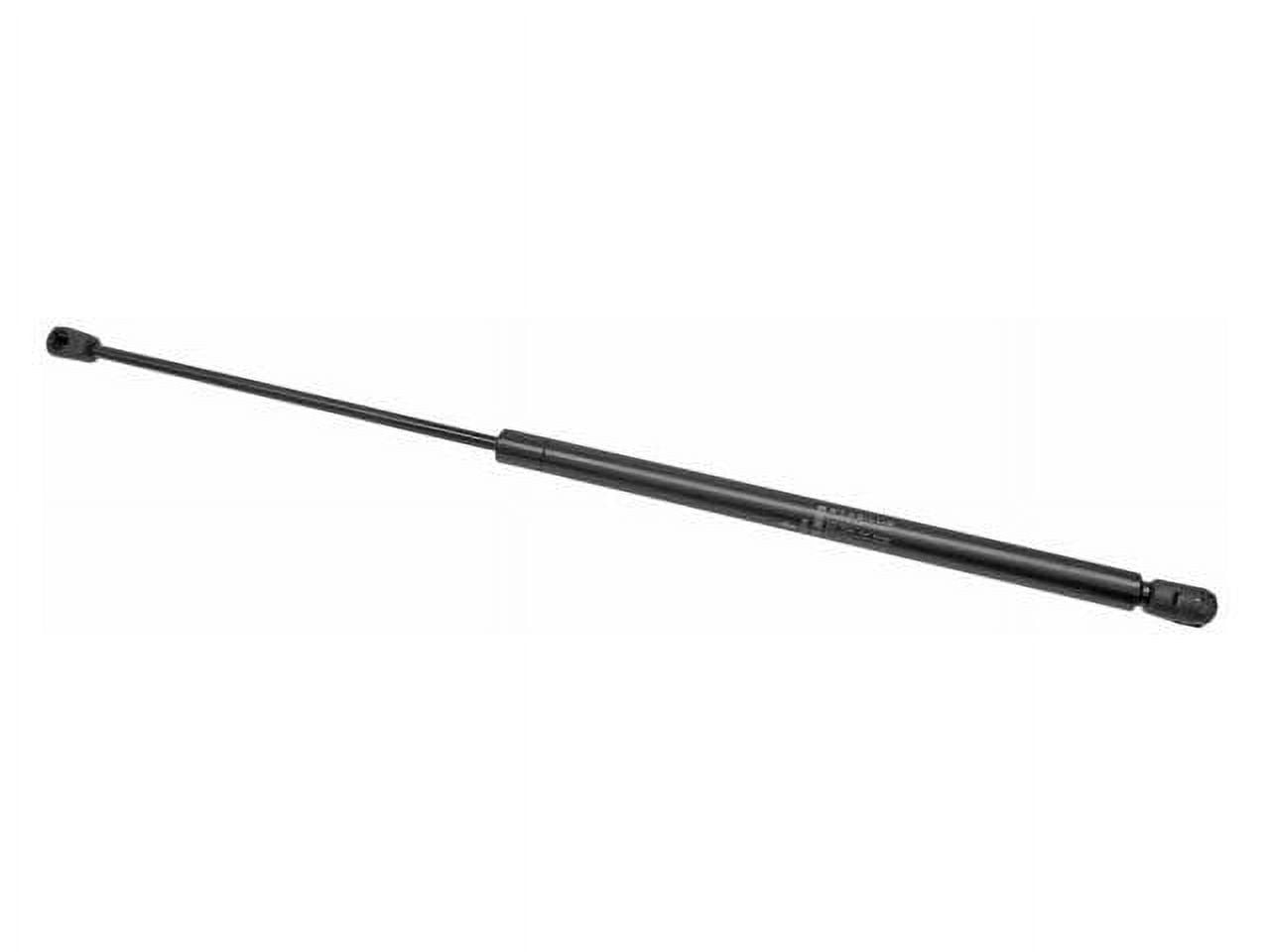 Hood Strut - Compatible with 2002 - 2008 Mini Cooper Convertible 2003 2004 2005 2006 2007