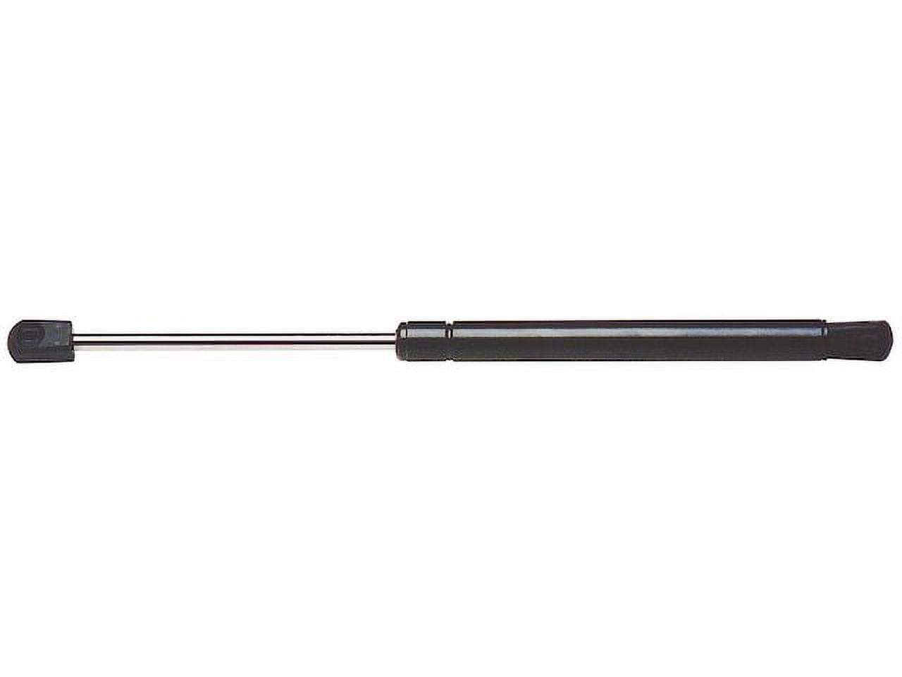 Hood Strut - Compatible with 2003 - 2004, 2006 INFINITI M45
