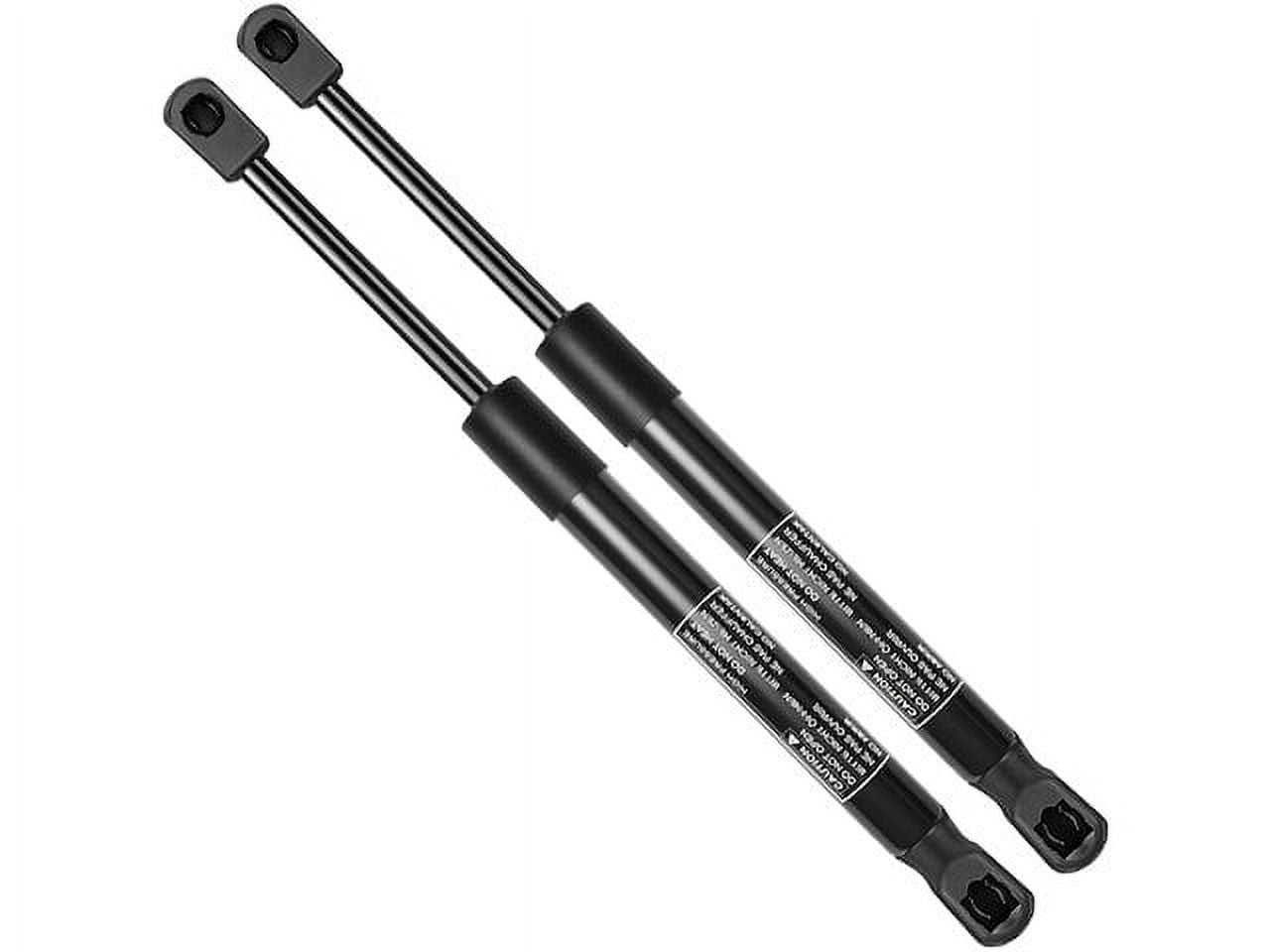 Hood Strut Set 2 - Compatible with 2009 - 2014 Nissan Murano - Autopart Premium